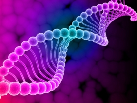 Anti Aging med. MITOCHONDRIE