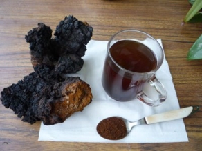 Chaga čaj