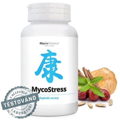 MycoMedica MycoStress 350 mg 180 tablet