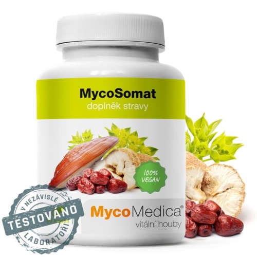 MycoMedica MycoSomat 500 mg 90 kapslí