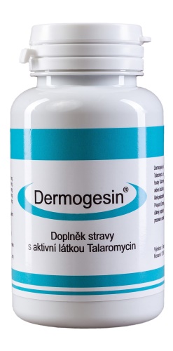 Gesmed Biotec Dermogesin 120 kapslí