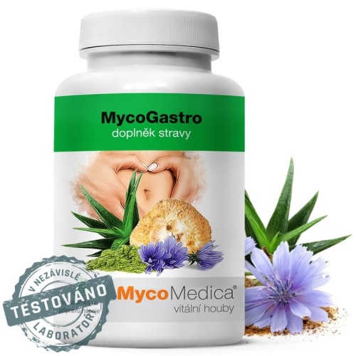 MycoMedica MycoGastro 90 g prášku