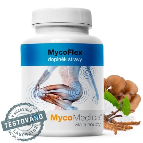 MycoMedica MycoFlex 730 mg 90 kapslí