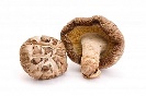 MycoMedica Shiitake 500 mg 90 kapslí